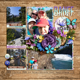 2018_7_Banff_DSI.jpg