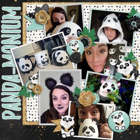 2018_Multi_panda_WEB.jpg