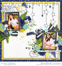 2019-05-08_Star_WEB_KC.jpg