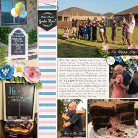 2019-08-Gender-Reveal-Gathering.jpg