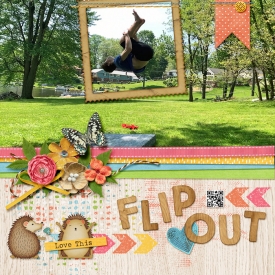2019-Jonah-Flip-Out-web2.jpg