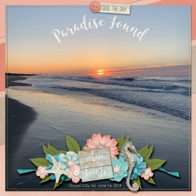 2019-OC-Beach-Beauty-web2.jpg