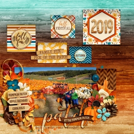 2019_10_Patch_copy.jpg