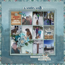 2019_1_Winter_Walk.jpg