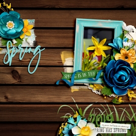 2019_4_Spring_copy.jpg