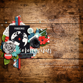 2020_4_Coronavirus_copy.jpg