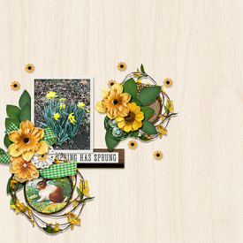 20_04_Spring_has_Sprung_-_Daffidols.jpg