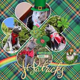 210317_st_pat_cat.jpg