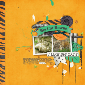 3_Featured_wilkerson_big-cat-rescue.jpg