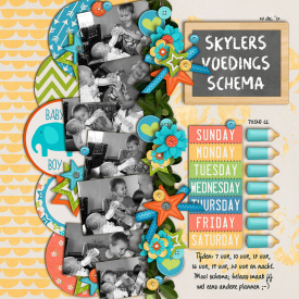 5_Skylers-voedings-schema.jpg