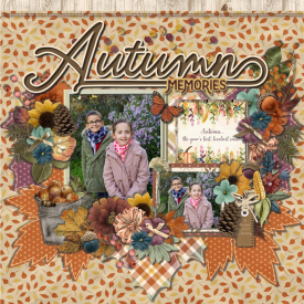 Automne_memories_GALLERY_11_Wild_Card.jpg