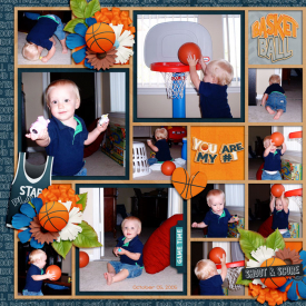 Basketballweb1.jpg