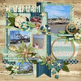 Beach_Days2.jpg