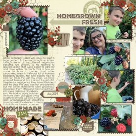 Blackberries2.jpg