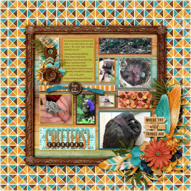 Critters-Everyday-499.jpg