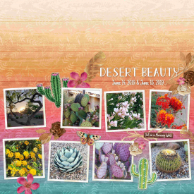 Desert.jpg