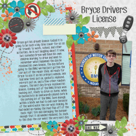 Drivers_License.jpg