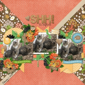 Feb_16-Mash_up_18-Scraplift.jpg