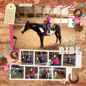 Horse1.jpg