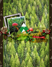 InTheWoods1.jpg
