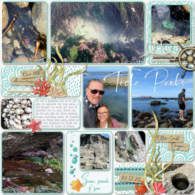 John_and_Amy_Anniversary_Tide_Pools.jpg