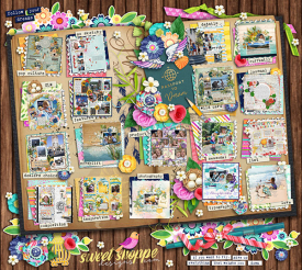 June2021_passport.jpg
