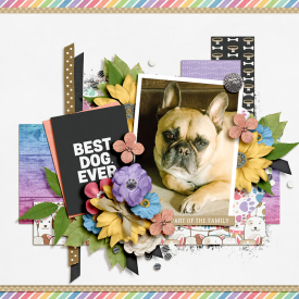 Lea-ljs-rainbowbridge-700.jpg