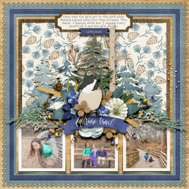 Lea-ljs-winterwoods-700.jpg