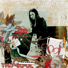 NOV14Thankfulx17_700.jpg