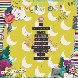 NightOwl2.jpg