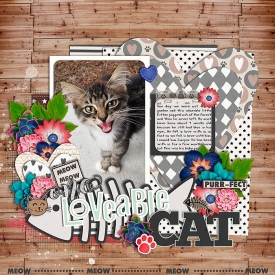 OneLoveableCat.jpg