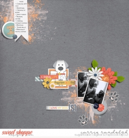 Passport5WebWM.jpg