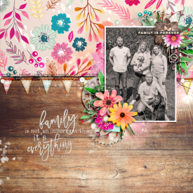 SPD_bettertogether-capturethememories-ck01.jpg