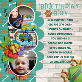 ScoobyBdayweb.jpg