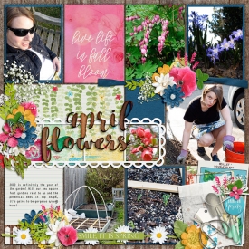 Seasonal-garden.jpg
