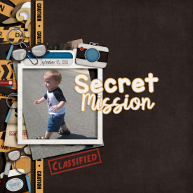 SecretMissionweb.jpg