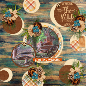 Sept-17_Cut_Outs_1-CP_.jpg
