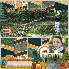 Social-Distancing-Stick-499.jpg