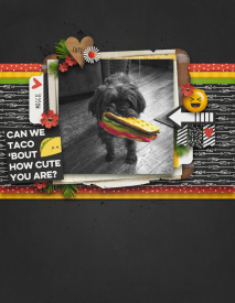 TACO_BOUTHOWCUTE.jpg
