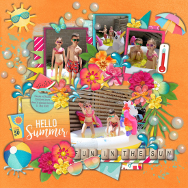 Template_Halfpack286_Cindy_Schneider_gallery.jpg