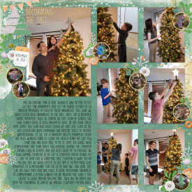 Tree5.jpg
