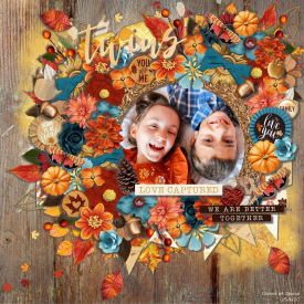 Twins_love_captured_gallery_opt.jpg