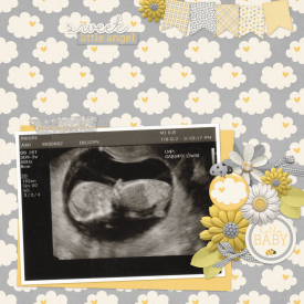 Ultrasound1.jpg