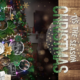 WEB_2021_Christmas-Tree.jpg