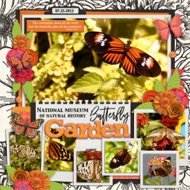 butterflygarden12WEB.jpg