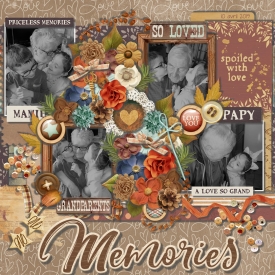 grands_parents_gallery_7_Photography.jpg