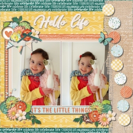hello_life_gallery_2_Product_Spring.jpg