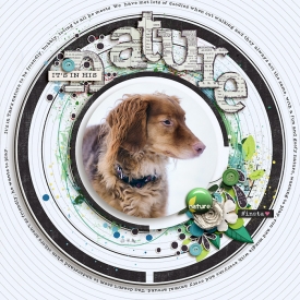 inhisnature-copy.jpg