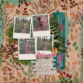 jphil_aphototakingday-spd_andintotheforest-ck01.jpg