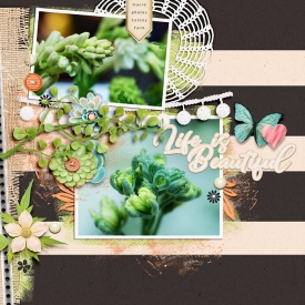 lifeisbeautiful-copy.jpg